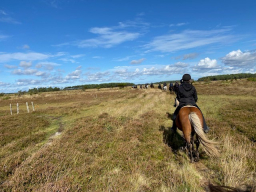 Læsø 2025